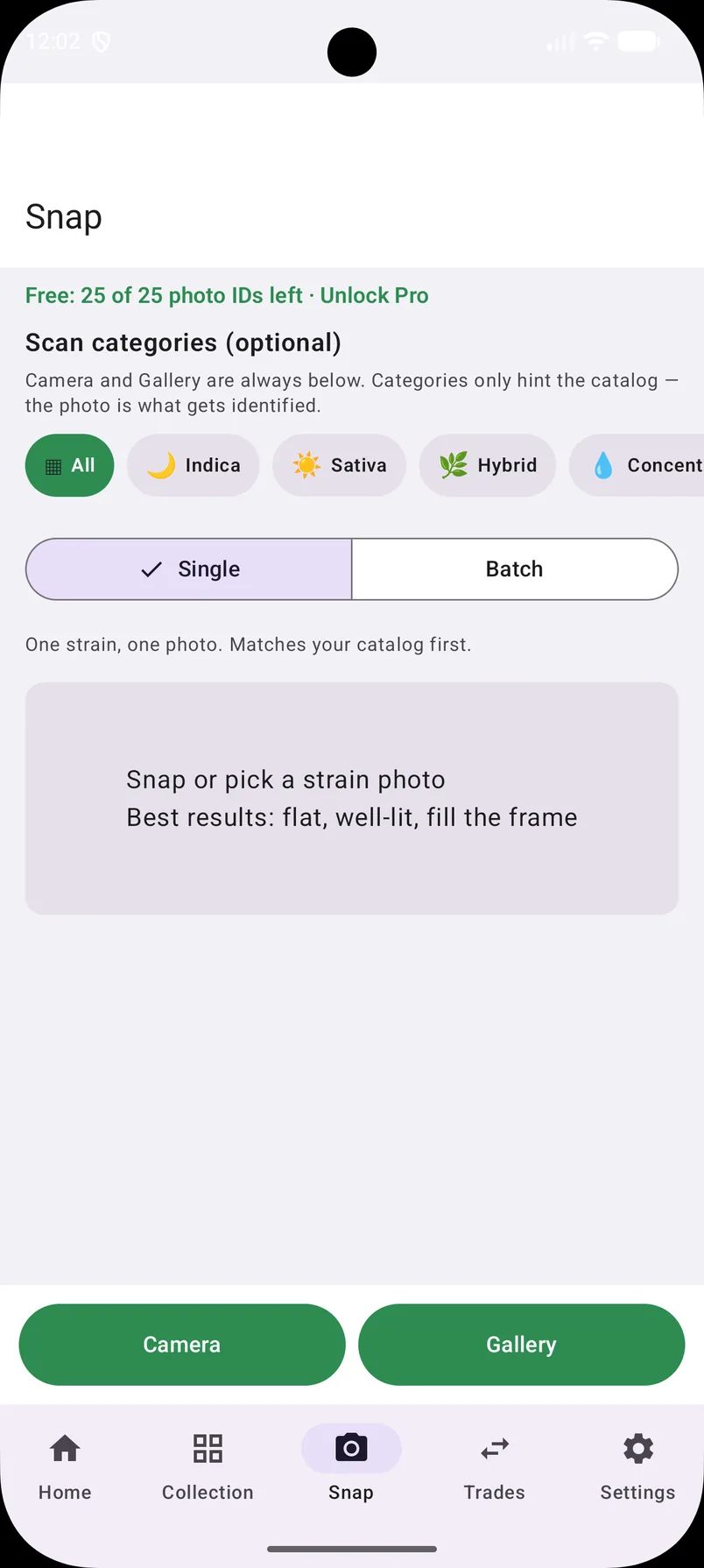 Snap Strain camera capture screen.